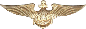 Badge Pilot 