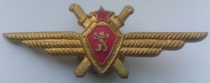 Badge Pilot 