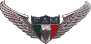 Нагрудный знак Парашютист 