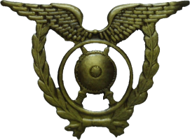 Нагрудный знак Воздушная Полиция Нагрудный знак Воздушная Полиция