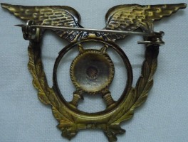 Badge Police 