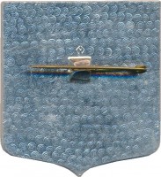 Нагрудный знак МИИГА ССО  