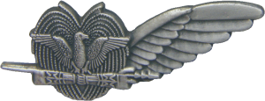 Нагрудный знак Член экипажа 