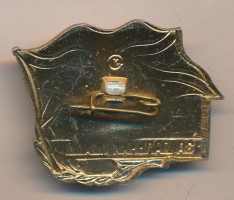Нагрудный знак За дальний поход, надводный корабль 
