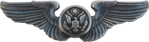 Нагрудный знак Член экипажа 
