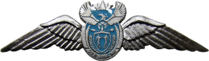 Нагрудный знак Пилот, серебряный 
