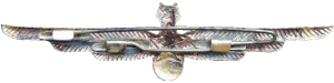 Нагрудный знак Штурман 