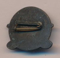 Нагрудный знак Пожарный 