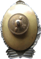 Badge Arial engineer 