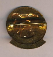 Нагрудный знак Юный техник  