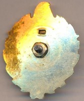 Badge  