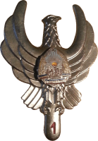 Знак Штурман 1 класса Знак Штурман 1 класса