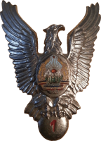 Знак Pilot 1st class Знак Pilot 1st class