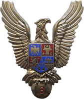 Знак Pilot 3rd class Знак Pilot 3rd class