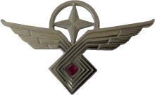 Знак Штурман