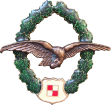 Знак Наблюдатель
