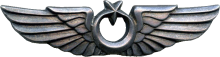 Знак Pilot
