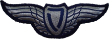 Знак Пилот легкого летательного аппарата