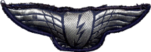 Знак Бортовой радист