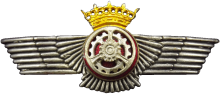 Знак Technician