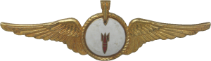 Нагрудный знак  