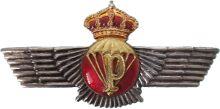 Знак Парашютист укладчик Знак Парашютист укладчик