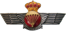 Знак Парашютист Знак Парашютист