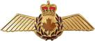 Знак Пилот
