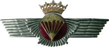 Знак Парашютист Знак Парашютист