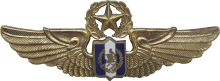Знак Мастер пилот