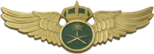 Знак Pilot