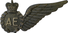 Знак Air Electronics Analyst