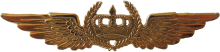 Знак Pilot