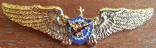 Знак Радиолакационный патруль