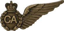 Знак Crew Attentant