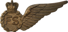 Знак Flight Steward