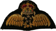 Знак Air Combat Officer Знак Air Combat Officer