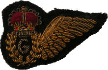 Знак Gunner