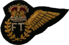 Знак Flight technician Знак Flight technician