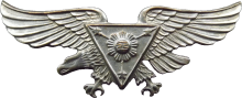 Знак Пилот