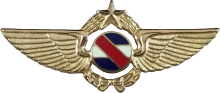 Знак Senior pilot (mini)