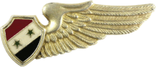 Знак Член экипажа