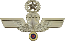 Знак Мастер парашютист