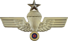 Знак Старший парашютист