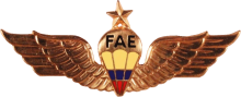 Знак Старший парашютист