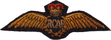 Знак Пилот