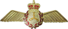 Знак Авиатехник
