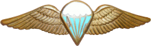 Знак Парашютист