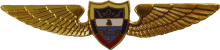 Знак Pilot