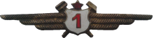 Знак Technician 1st class Знак Technician 1st class